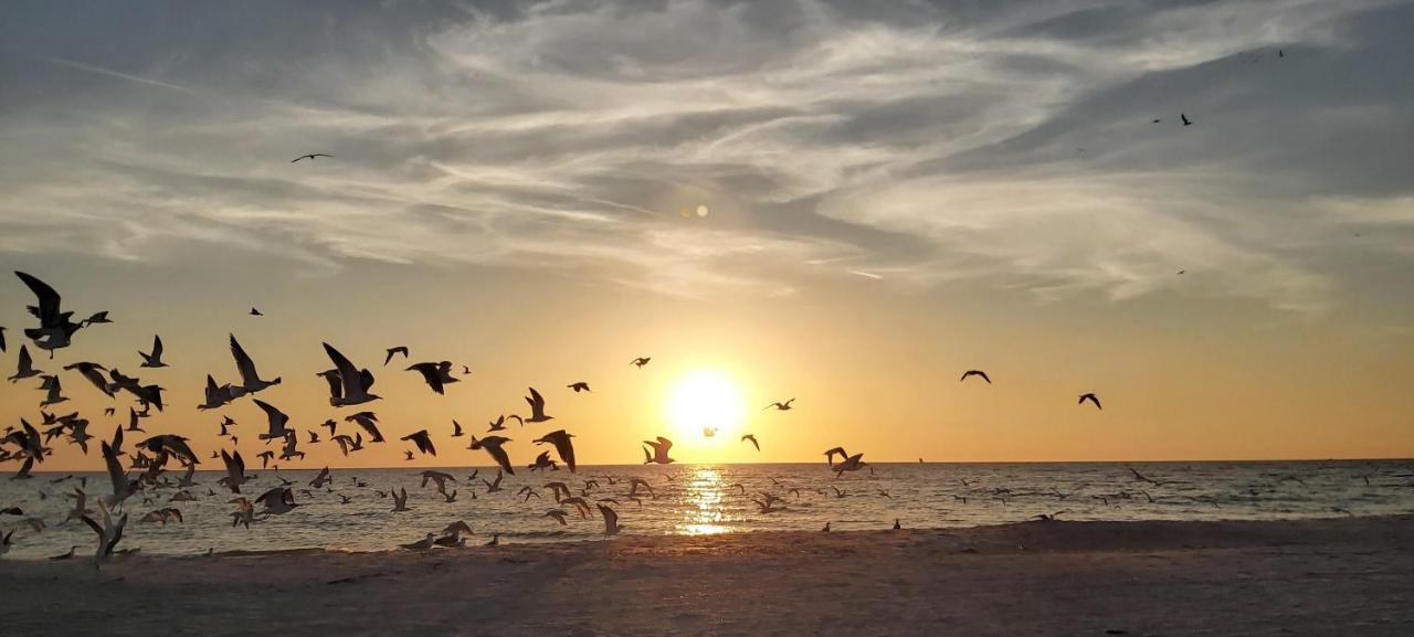 Sunset Vistas 211N Villa St. Pete Beach Kültér fotó